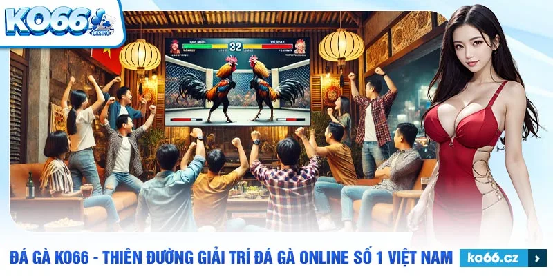 Hệ thống đá gà tại ko66 luôn công khai, minh bạch rõ ràng.