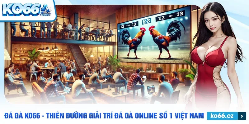 Đá gà KO66 trực tiếp, siêu hâp dẫn, lôi cuốn người chơi.